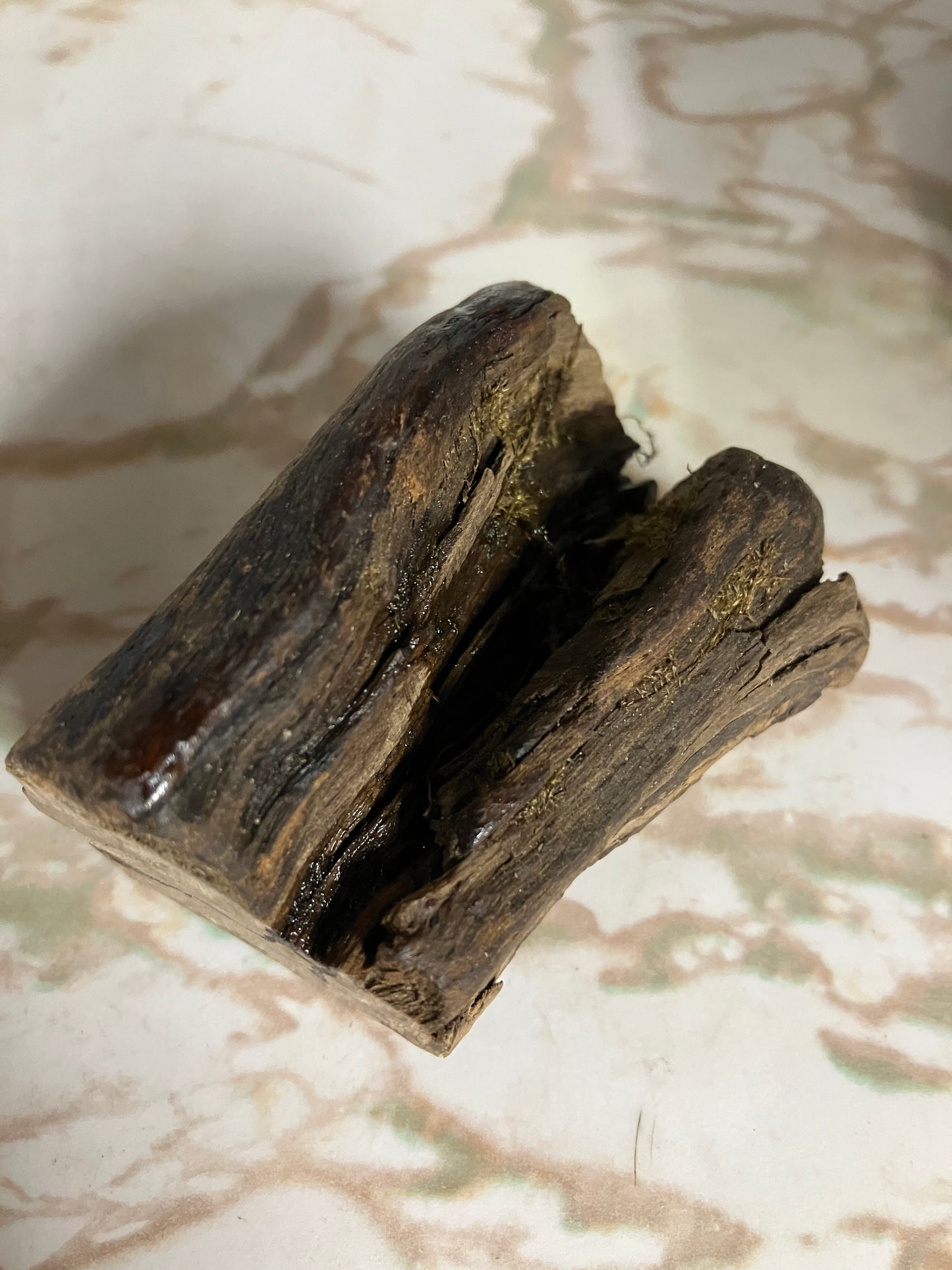 Shakespeare Pen pictures