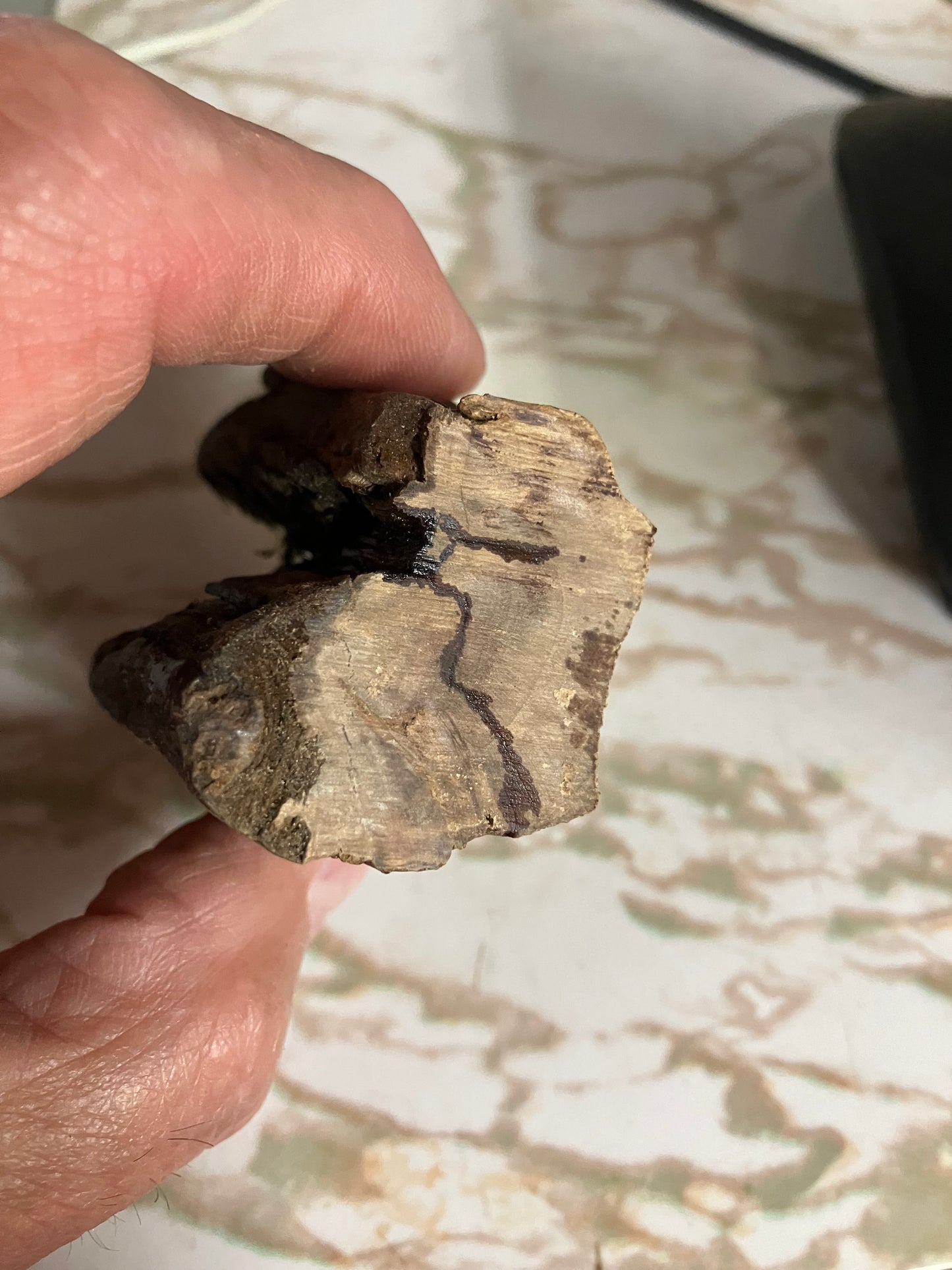 Shakespeare Pen pictures