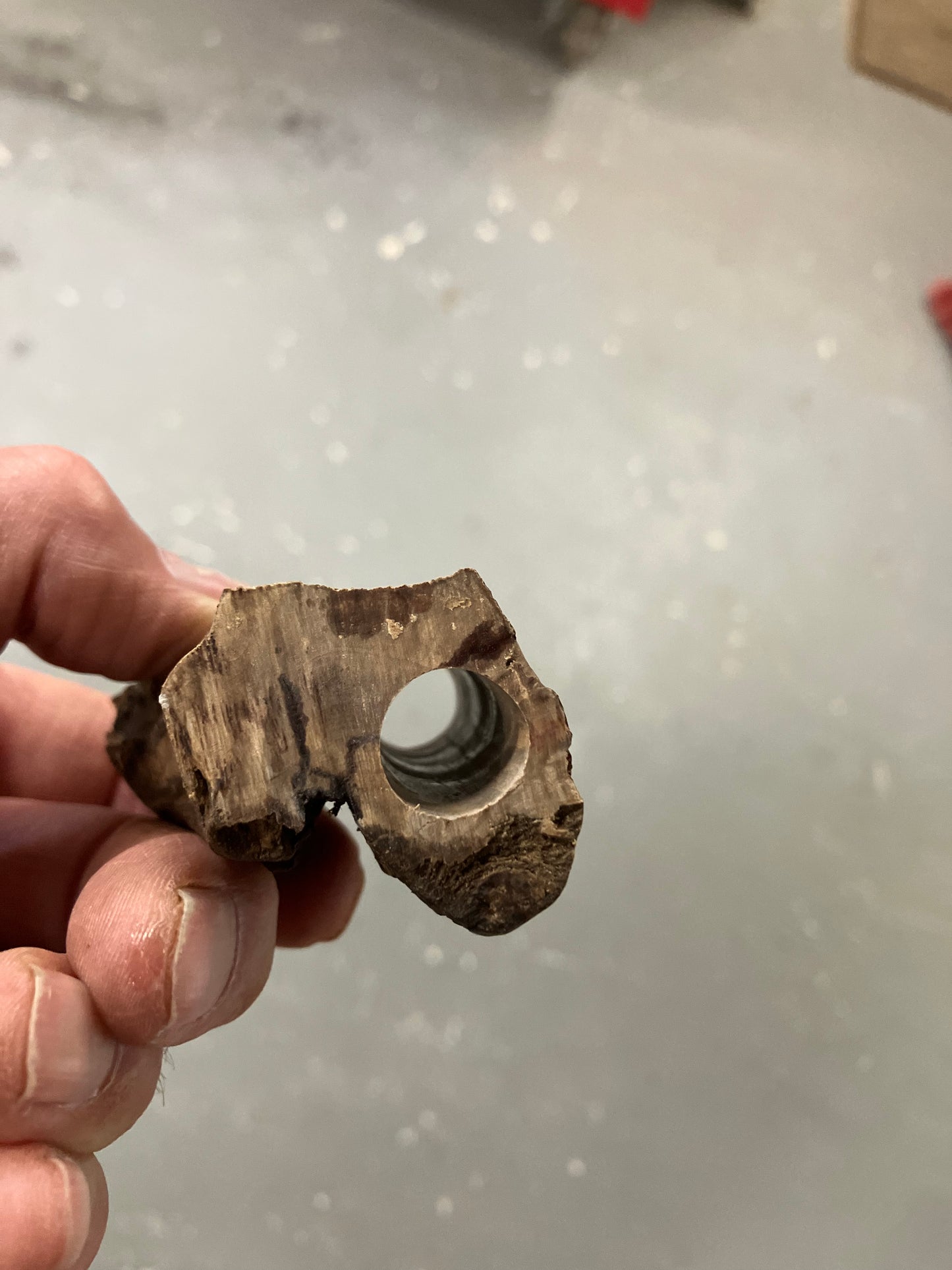 Shakespeare Pen pictures