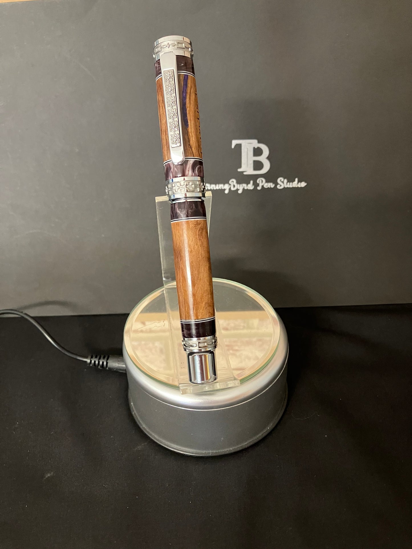 Shakespeare Pen pictures